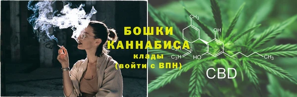 сатива Баксан