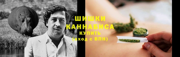сатива Баксан