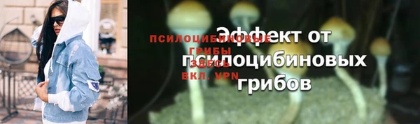 сатива Баксан