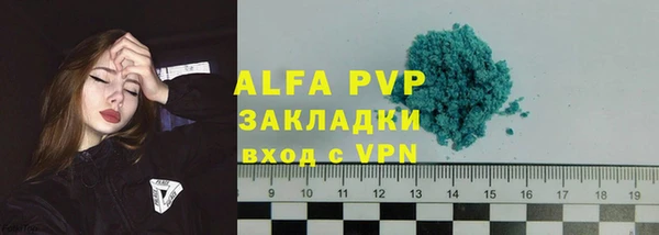 сатива Баксан