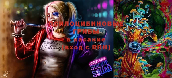 сатива Баксан