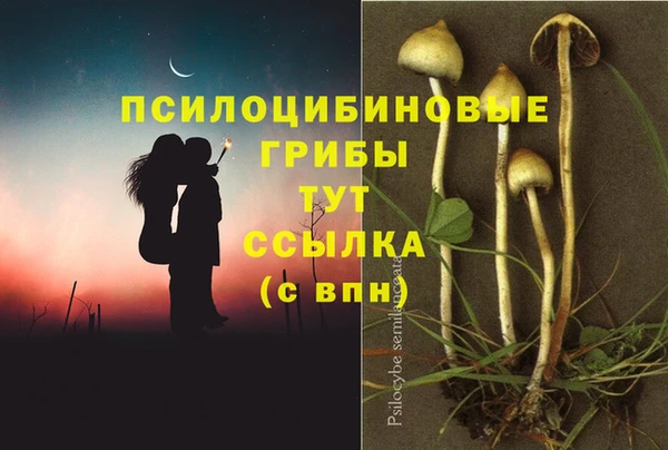 твердый Балабаново