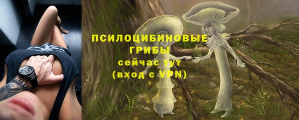 PSILOCYBIN Балахна
